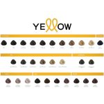 Alfaparf Yellow boja za kosu 100ml - Slika 2